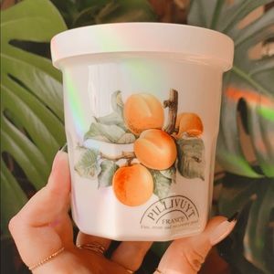 Hufflepuff - Vintage French porcelain apricot jar